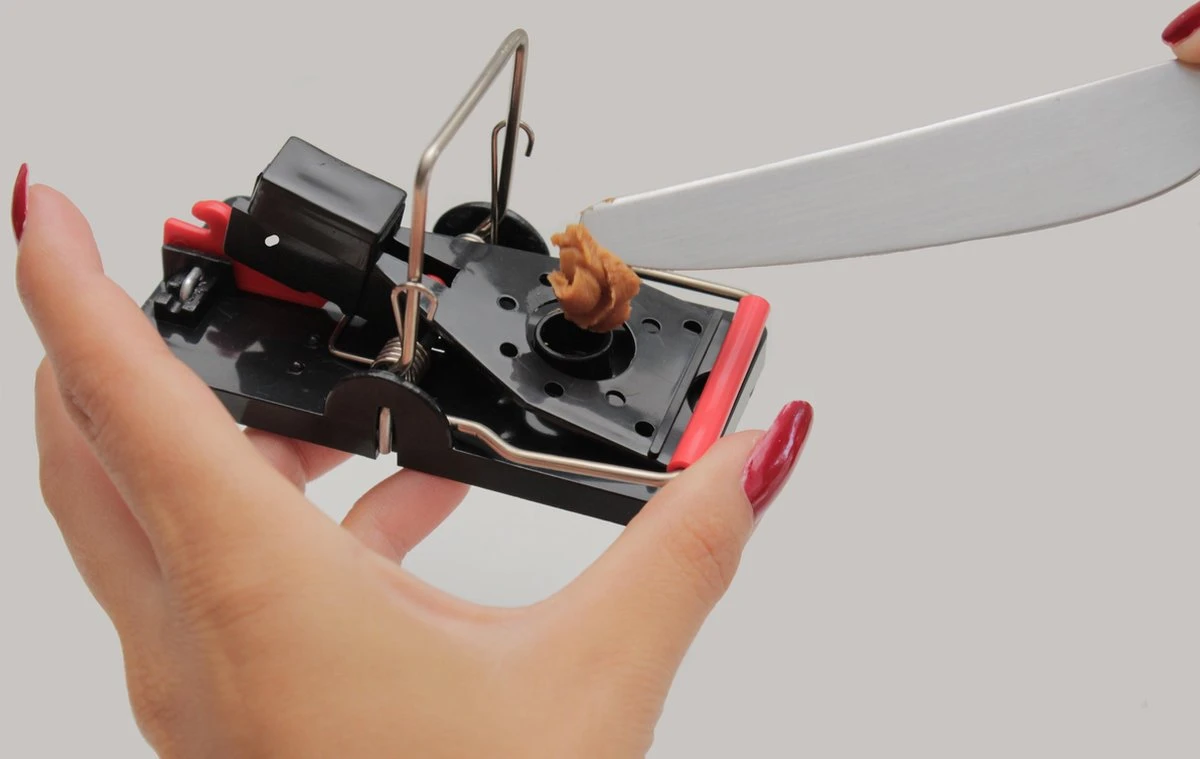 PROTEKX Muizenval - 6 Stuks - Voor Binnen En Buiten - Extra Sterk - Niet Giftig - Hygiënisch - Hoge Vangkans - Ongedierte Verjager - Afbeelding 6