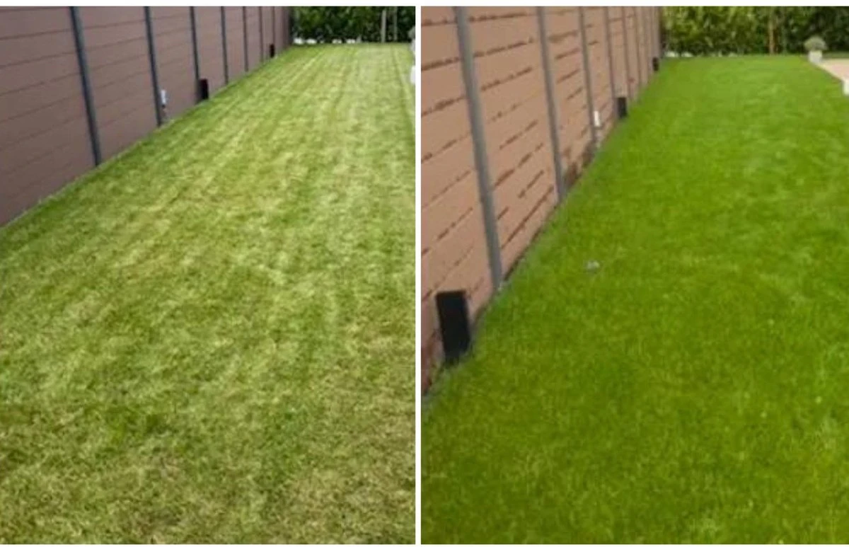 Speel En Sport Graszaad Voor 50m² Gras | Bestendig Tegen Intensief Gebruik | Gazon Voor Sporten & Spelen - Afbeelding 6