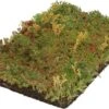 Covergreen Kant-en-klare Sedum Plantenmat