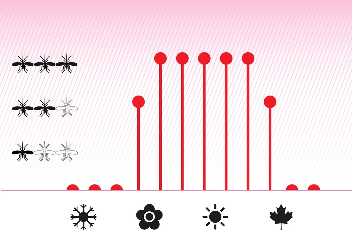 Vapona Anti Muggenstekker Navulling - Insectenbestrijding - 45 Nachten - Afbeelding 5