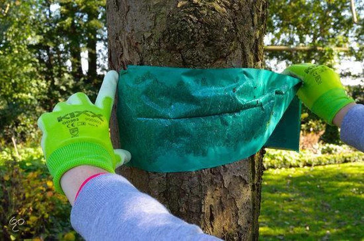 ECOstyle Lijmband Beschermt Tegen Schadelijke Insecten - Werkt Tegen Mieren, Wintervlinder, Bladluis En Meer - Weerbestendig - 2,5 M Lijmband & 6 M Touw - Afbeelding 4