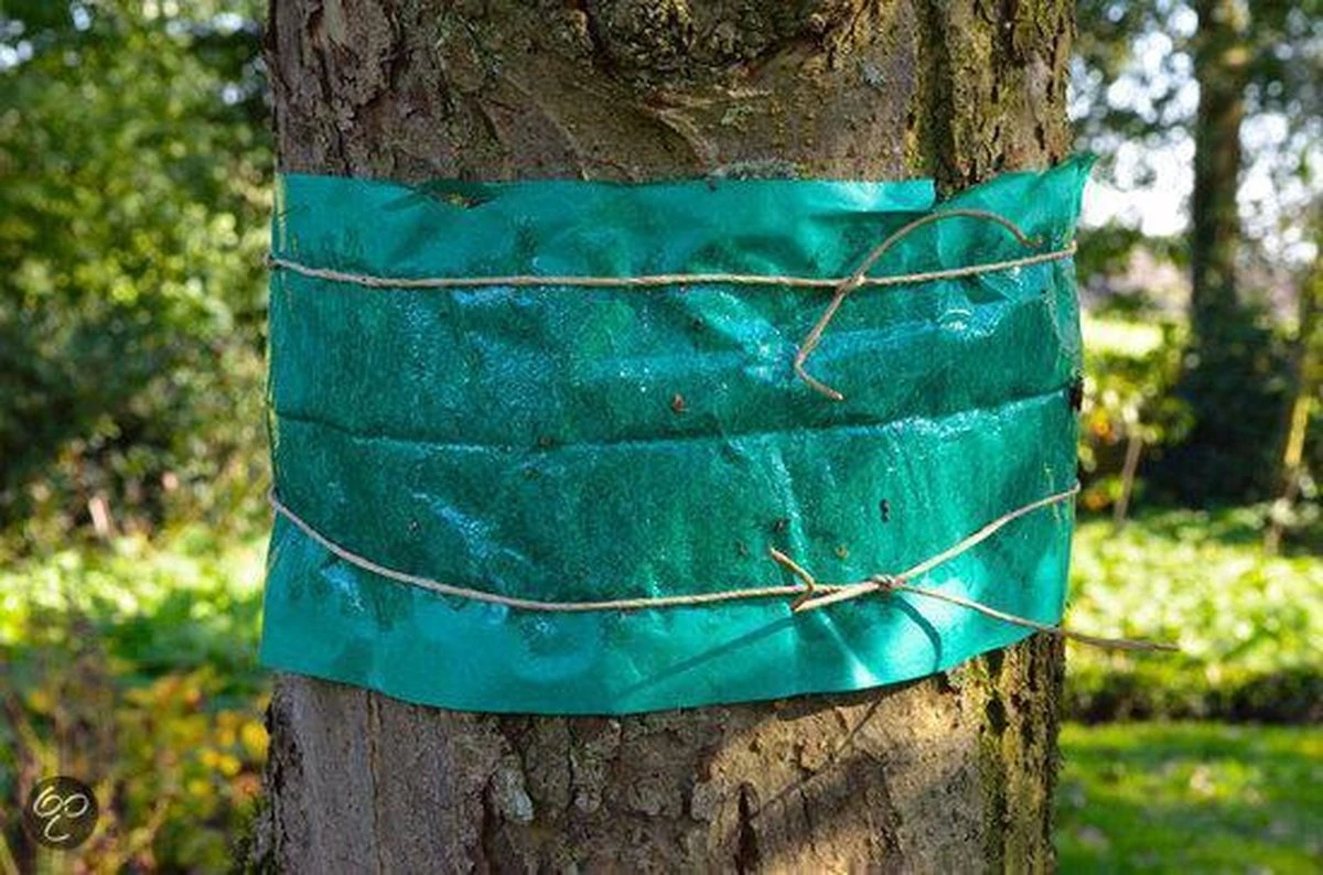 ECOstyle Lijmband Beschermt Tegen Schadelijke Insecten - Werkt Tegen Mieren, Wintervlinder, Bladluis En Meer - Weerbestendig - 2,5 M Lijmband & 6 M Touw - Afbeelding 7
