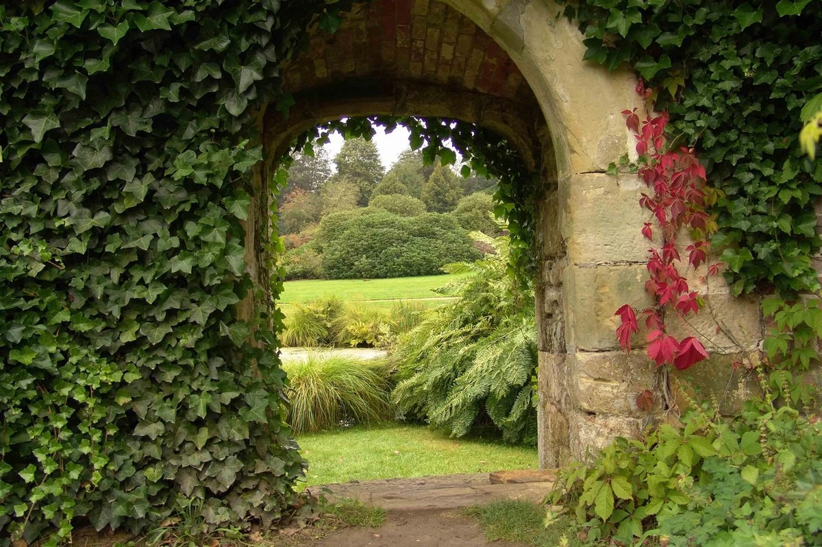 Tuinposter Doorkijkje - Groene Tuin - 120cm X 80cm - Afbeelding 8