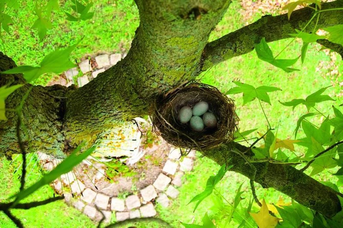 Gardigo Kattenafweergordel - Afbeelding 3