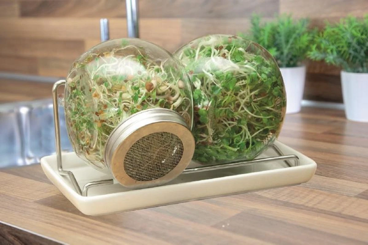 Buzzy Kiem Pot Duo Met Schaal (Bio) - Afbeelding 4