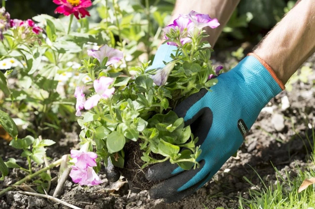 Gardena Plant- En Bodem Handschoen - Maat: M - Afbeelding 8