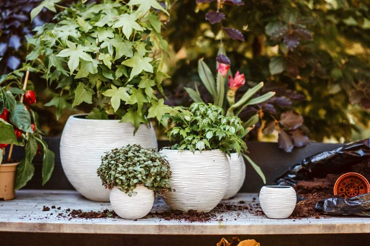 Capi Europe - Set Van 3 - Bloempot Binnen - Rib Ivoor - Afbeelding 3