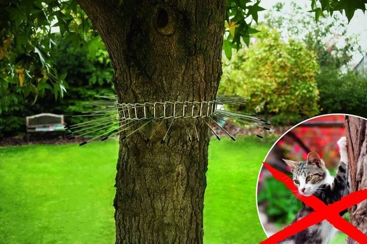 Gardigo Kattenafweergordel - Afbeelding 2