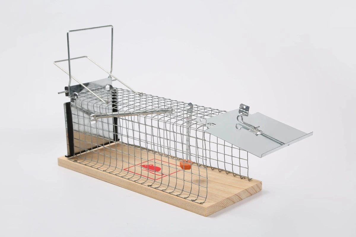 Set Van 2 Diervriendelijke Muizenval "Gabbia" - Inloopval - Muizenkooi - Ongedierteval - Ongediertebestrijding - Afbeelding 6
