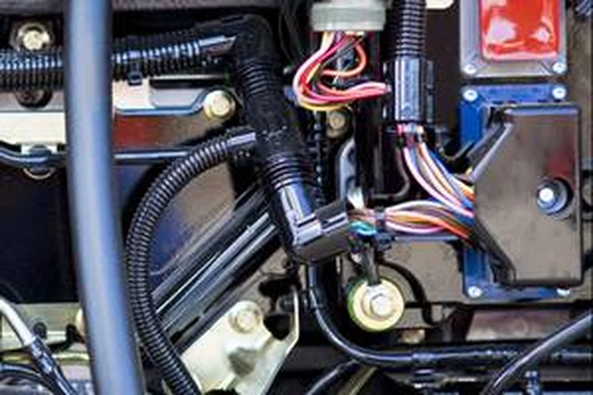 Motip Anti-marterspray - 500 Ml. - Afbeelding 4