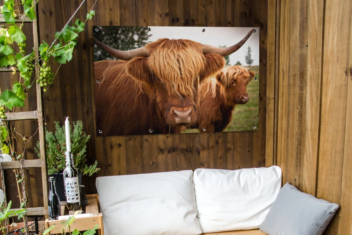 Tuinposter - Tuindoek - Tuinposters Buiten - Schotse Hooglanders - Bruin - Gras - 120x80 Cm - Tuin - Afbeelding 4
