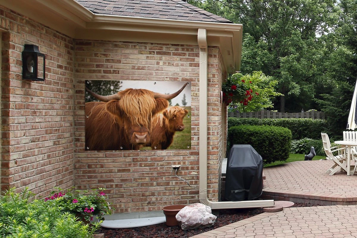 Tuinposter - Tuindoek - Tuinposters Buiten - Schotse Hooglanders - Bruin - Gras - 120x80 Cm - Tuin - Afbeelding 5