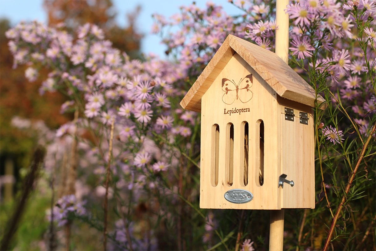 Esschert Design Vlinderkast Silhouet WA39 - Afbeelding 13