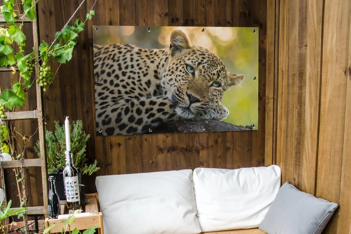 Tuinposter - Tuindoek - Tuinposters Buiten - Luipaard - Natuur - Zonsondergang - 120x80 Cm - Tuin - Afbeelding 3