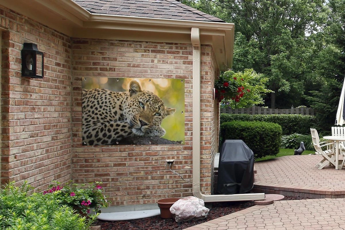 Tuinposter - Tuindoek - Tuinposters Buiten - Luipaard - Natuur - Zonsondergang - 120x80 Cm - Tuin - Afbeelding 6