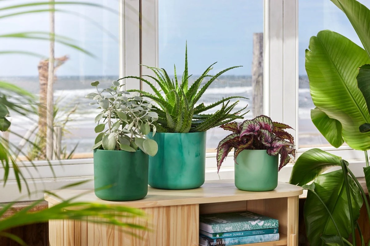 Elho The Ocean Collection Round 22cm - Bloempot Voor Binnen - 100% Gerecycled Materiaal - Gemaakt Met Zeeafval - Ø 22.3 X H 20.4 Cm - Pacifisch Groen - Afbeelding 3