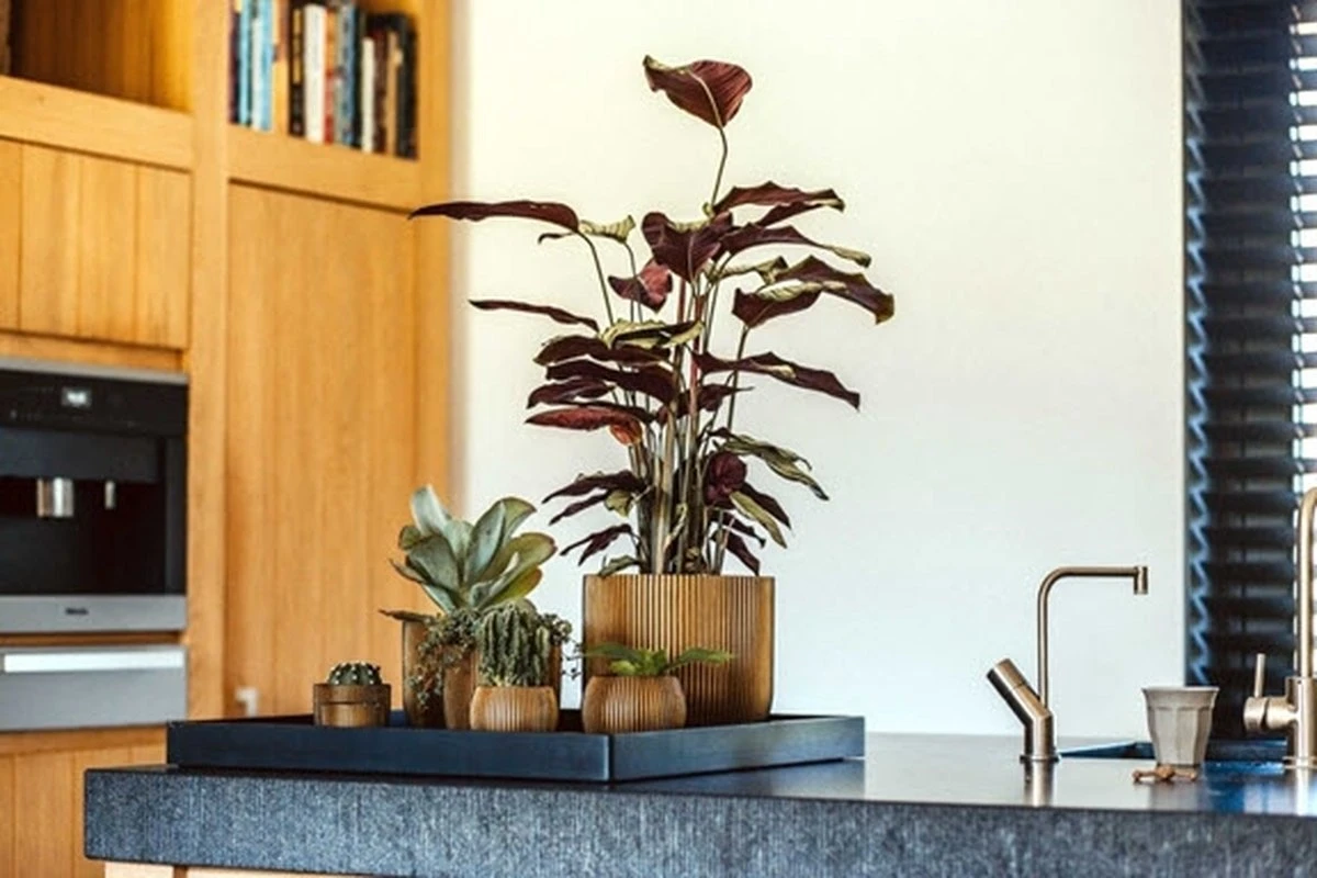 Capi Europe - Bloempot Bol Groove - 23x21 - Goud - Bloempot Voor Binnen - BGVGB134 - Afbeelding 3