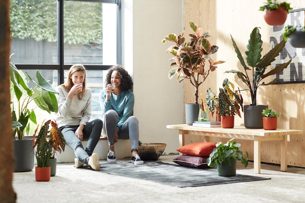 Elho B.for Soft Rond 25 - Bloempot Voor Binnen - Ø 24.7 X H 23.3 Cm - Antraciet - Afbeelding 6