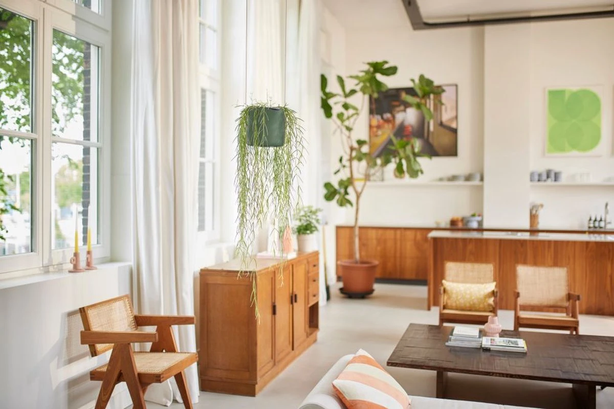 Elho B.for Swing 18 Hangpot - Bloempot Voor Binnen - Ø 18.0 X H 16.5 Cm - Groen/Blad Groen - Afbeelding 7