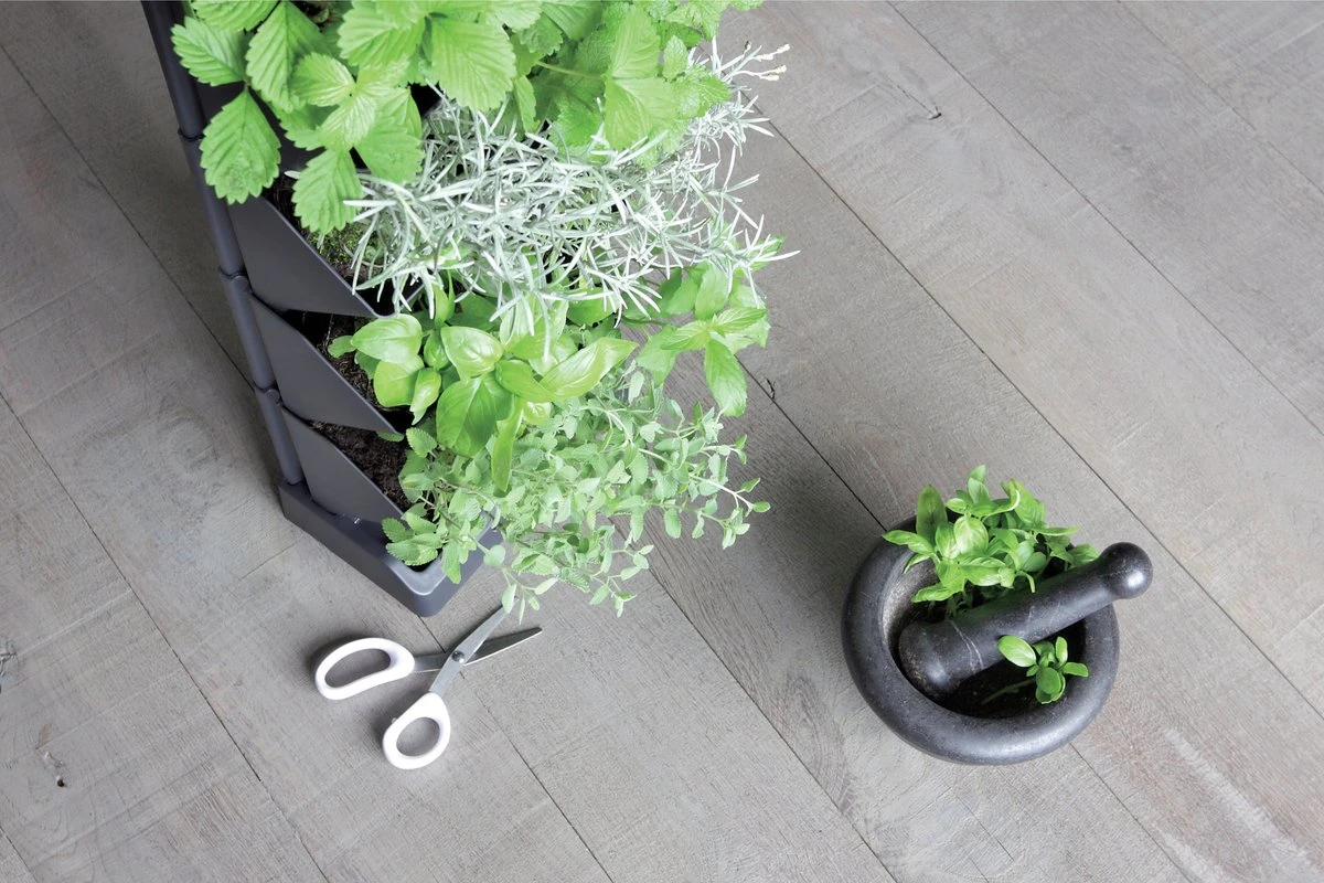 Prosperplast Verticale Kruidentuin Kunststof - Staand/hangend - Modulair - Antraciet Grijs - L 20 X B 11 X H 48 Cm - Incl. Kruidenschaar - Afbeelding 8