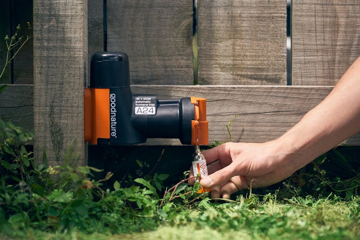 Goodnature A24 Met Teller - Rattenval - Muizenval - Rat - Muis - Afbeelding 7