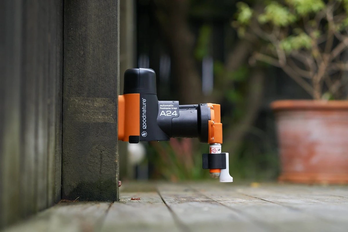 Goodnature A24 Met Teller - Rattenval - Muizenval - Rat - Muis - Afbeelding 8