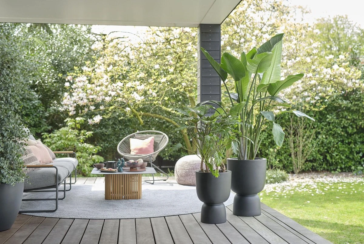 Elho Pure Coupe 35 - Bloempot Voor Binnen & Buiten - Ø 34.9 X H 49.0 Cm - Zwart/Zwart - Afbeelding 4