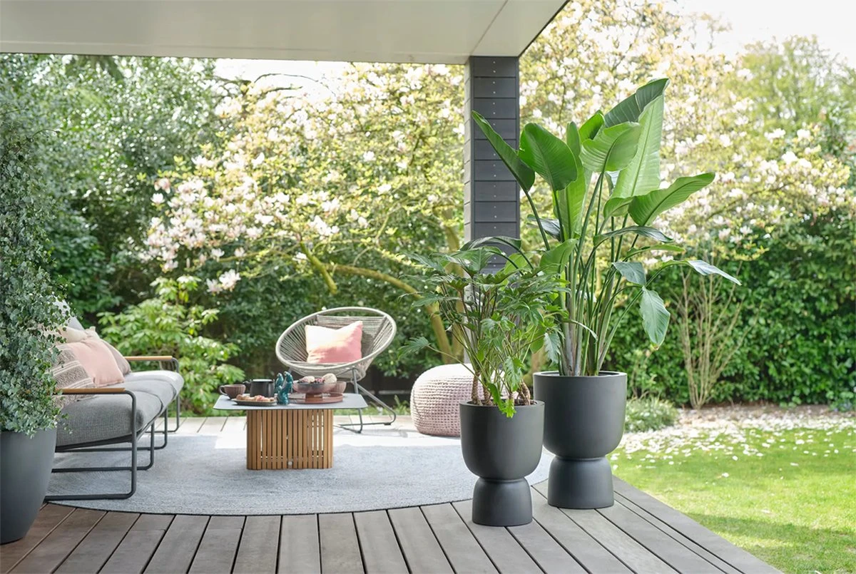 Elho Pure Coupe 35 - Bloempot Voor Binnen & Buiten - Ø 34.9 X H 49.0 Cm - Zwart/Zwart - Afbeelding 15