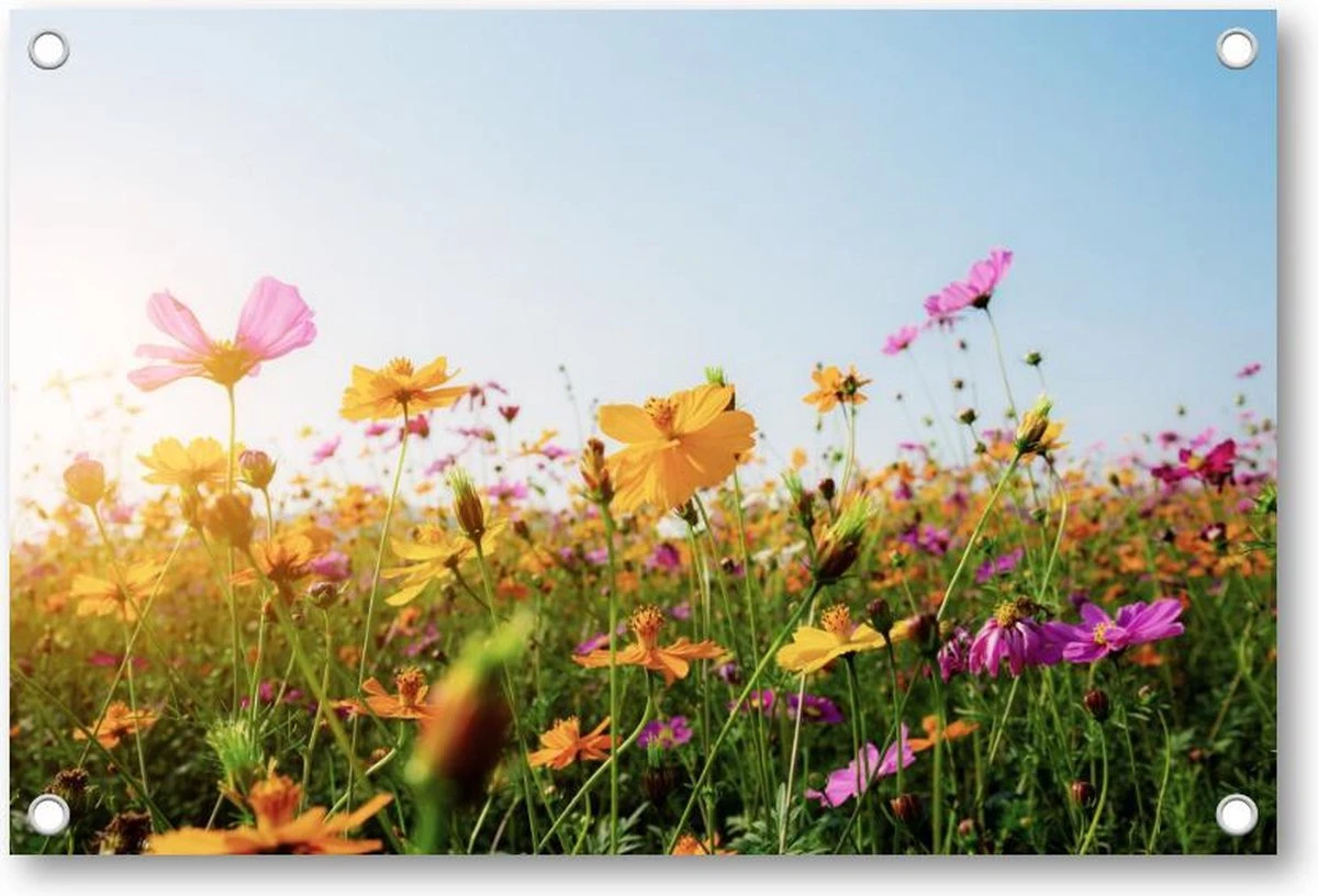 Bloemen In Veld Met Zonsondergang - Tuinposter 90x60 - Wanddecoratie - Natuur - Bloemen