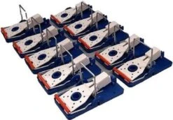 10 X Herbruikbare En Humane Muizenvallen Voor Binnen En Buiten - Muizenval