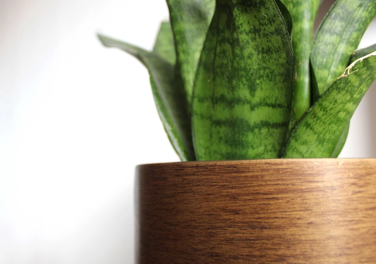 Capi Europe - Bloempot Bol Retro - 14x13 - Goud - Bloempot Voor Binnen - BRTG132 - Afbeelding 2