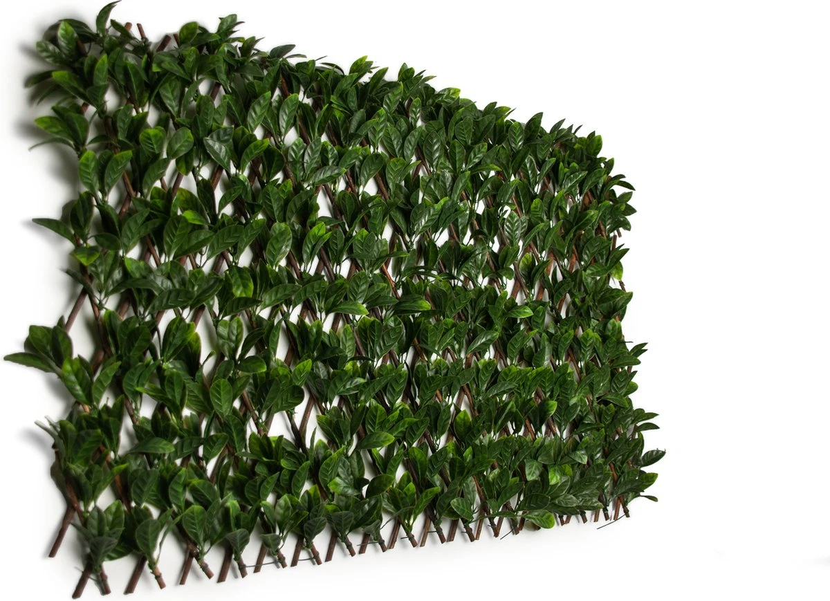 Laurier Kunsthaag-Bamboe Hout-80x40cm Tot 55x230cm-Tuinscherm-Voor Binnen En Buiten-Uitschuifbaar-balkonscherm