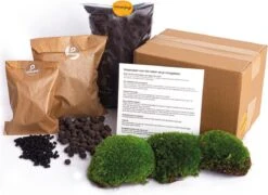 Terrarium Start En Navul Pakket | Inclusief Substraat - Terrarium Potgrond - Bolmos - Active Kool - Handleiding - Verzorgingstips - Urbanjngl