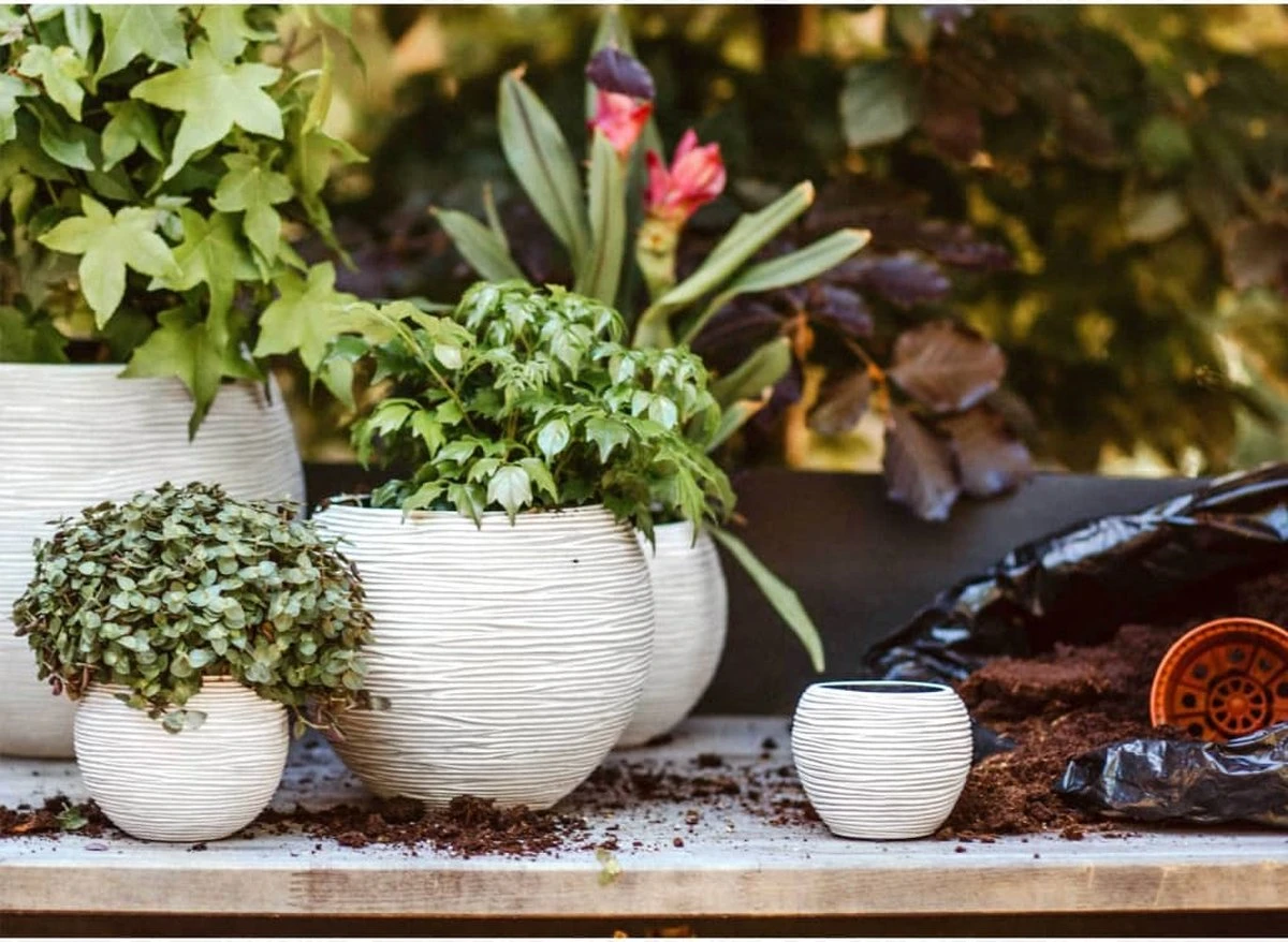 Capi Europe - Set Van 3 - Bloempot Binnen - Rib Ivoor - Afbeelding 4