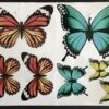 Vlinders Sticker Vel, Decoratie Stickers, Kliko Sticker, Container Vlinder Stickers, Deur Stickers, Wand Stickers, CoverArt