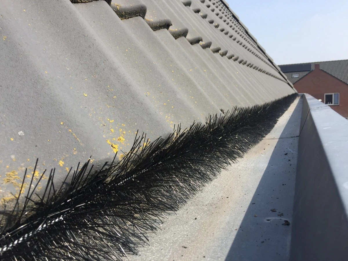 Vogelweringborstel En Dakgootbeschermer - Doos 16 Stuks - Totaal 16 Meter - Ø 15 CM - Anti Vogel Borstels - Vogelwering Zonnepanelen - Dakgootegel - Afbeelding 2