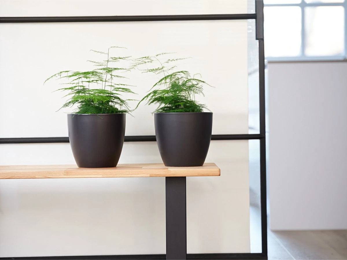 Plantenpot/bloempot In Een Strakke Scandinavische Look Zwart Dia 20 Cm En Hoogte 19 Cm Glanzend - Afbeelding 2