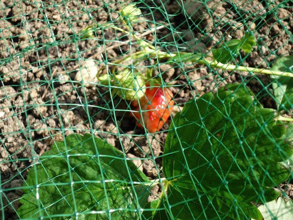 Creartix - Tuinnet Vogels - 5x4m Vogelnet - Groen - Extra Sterk - Maaswijdte 10mm - Net Tegen Vogels - Afbeelding 6