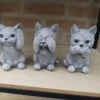 Kat Horen Zien Zwijgen Decoratief Beeld Katten 12cm Beton Kleur Gebroken Wit Katjes Poezen Poes