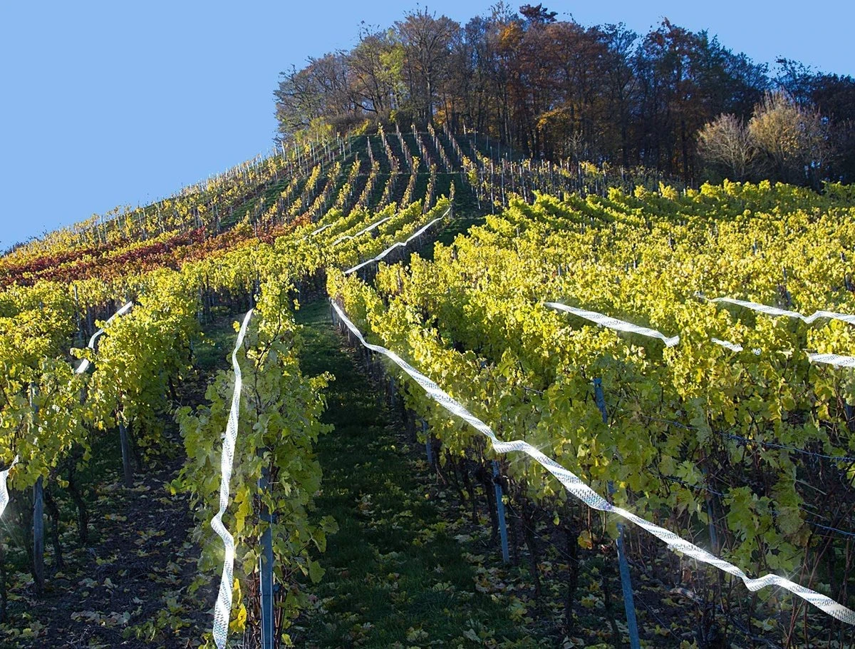 Merkloos Duivenverjager - Vogelverjager - Duivenwering - Vogelverschrikker - Geluid Door Beweging - Reiger - Kraai - Holografisch Duiven Lint - Reigerverschrikker - Alternatief Voor Duivenpinnen Of Vogelnet - Diervriendelijk - 80m Tape - Afbeelding 6