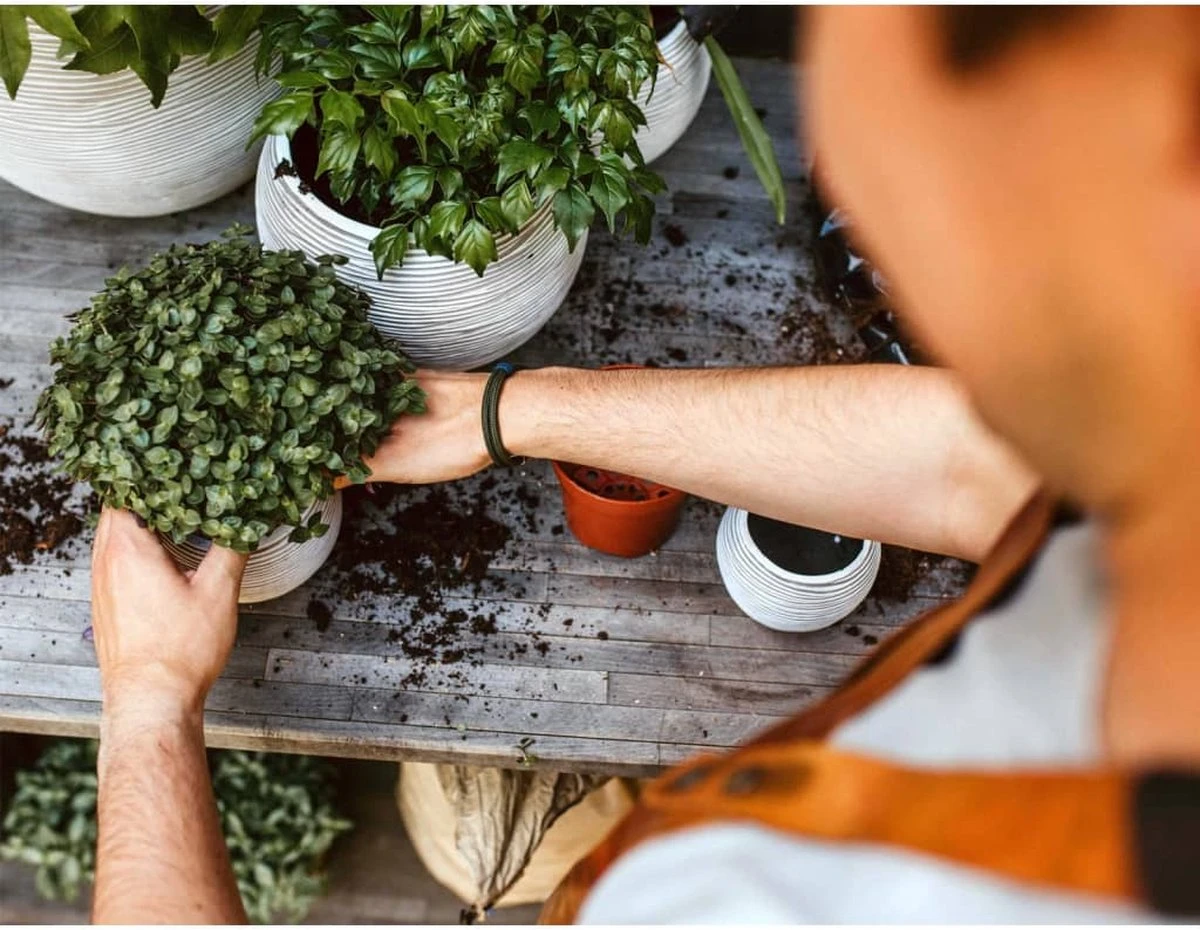 Capi Europe - Set Van 3 - Bloempot Binnen - Rib Ivoor - Afbeelding 5