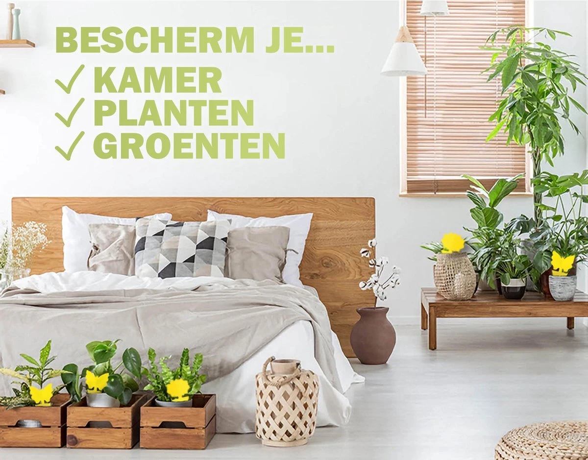 Merkloos Rouwvliegjes Bestrijden - Rouwvliegjes Plakstrips - Fruitvliegjes Vanger - Vangplaten Tegen Fruitvliegjes En Rouwvliegjes - 36 Stuks