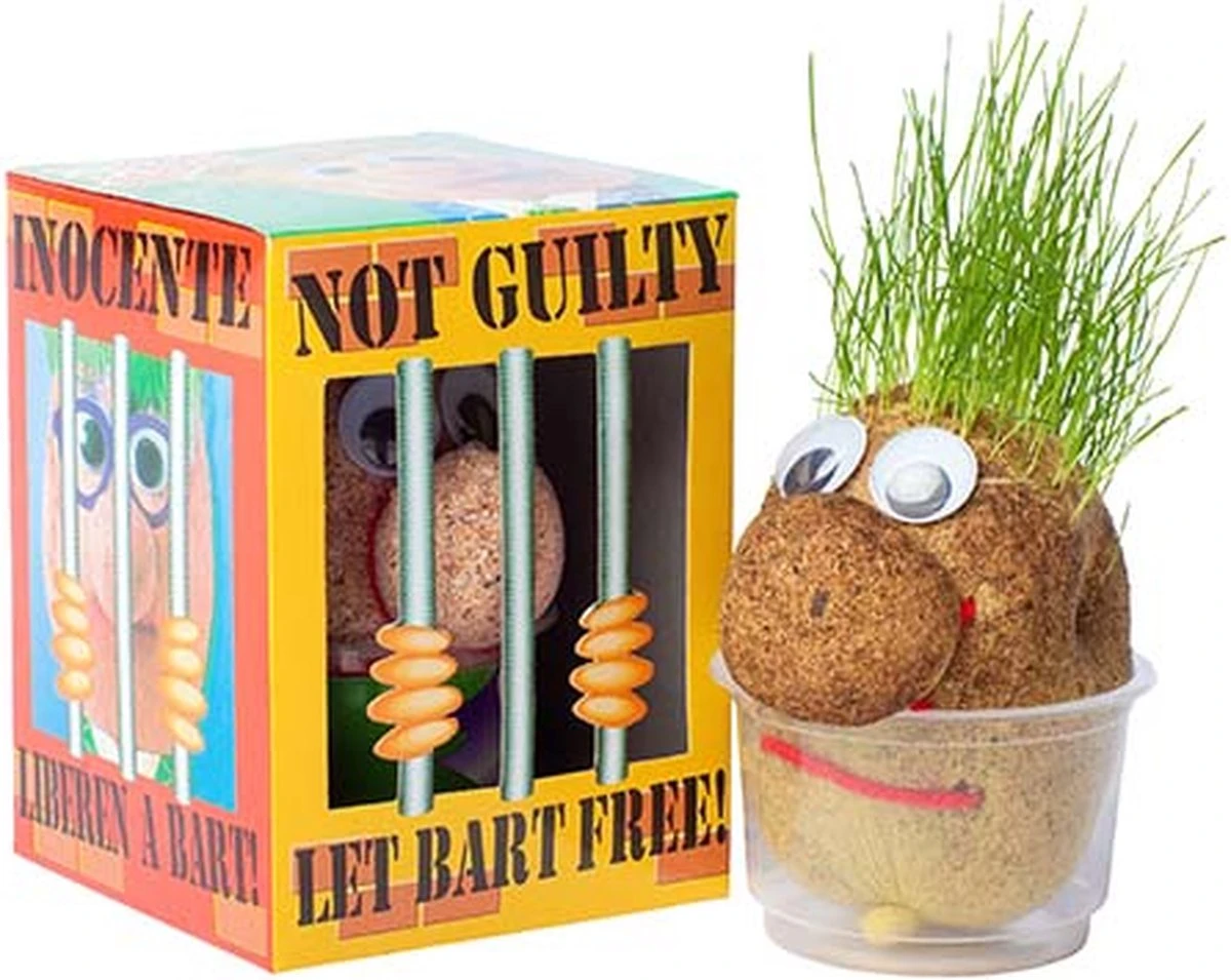 Mr. Bart | Graspop | Graspoppetje | Grow Your Own Gras | Wie Kent Hem Niet | Vensterbank | Graszaad | Cadeau |