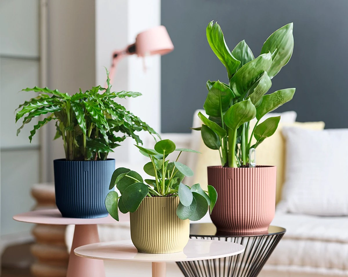 Elho Vibes Fold Rond 22 - Bloempot Voor Binnen - Ø 22.0 X H 20.2 Cm - Diepblauw - Afbeelding 14