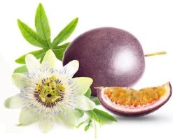 Fruit Zaden - Passievrucht