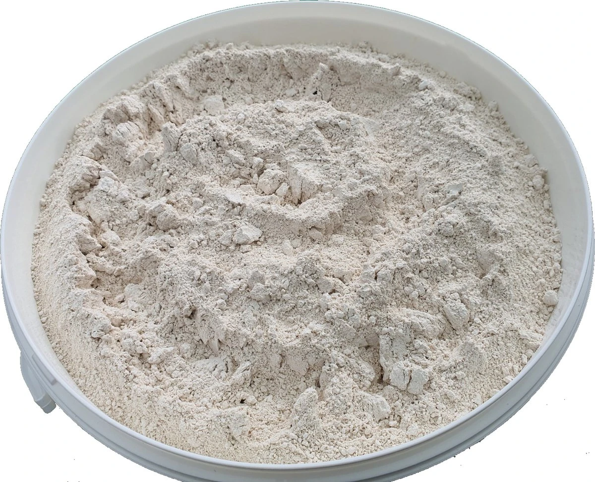 500g =1 Ltr Diatomeeënaarde (Kiezelgoer) (eco & Gifvrij) PestiNext Diatomeeënaarde - Diatomaceous Earth - Diatomeeenaarde Kippen - Diatomeeenaarde Poeder - Diatomeeenaarde Foodgrade - Afbeelding 2
