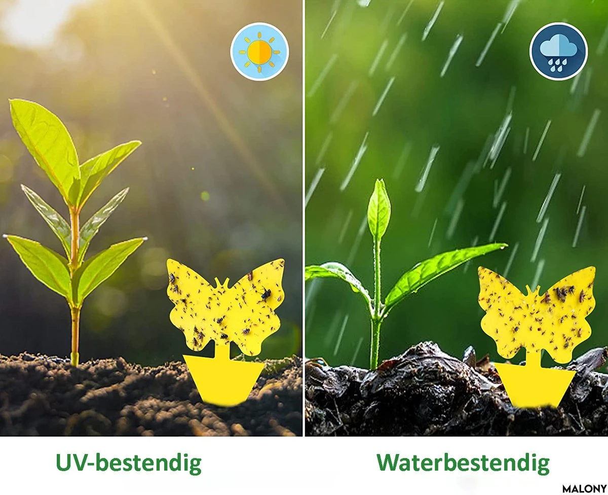 Vliegenvanger Set 24 Stuks - Fruitvliegjes Vanger - Rouwvliegjes Bestrijden - Insectenvanger - Plakstrips Dubbelzijdig - Afbeelding 3