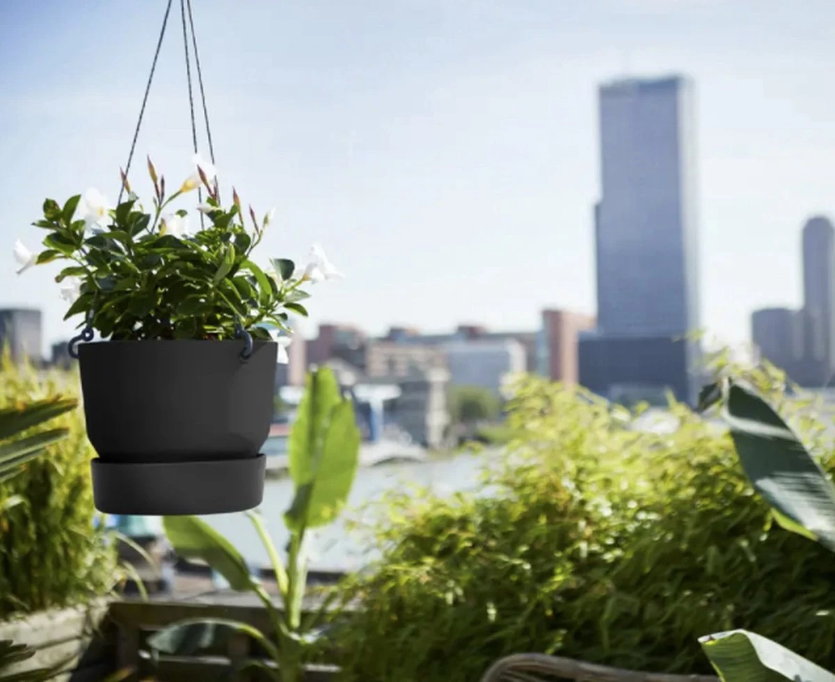 Elho Greenville Hangschaal 24 - Bloempot Voor Balkonbuiten - Ø 23.5 X H 20.5 Cm - Zwart/Living Black - Afbeelding 2