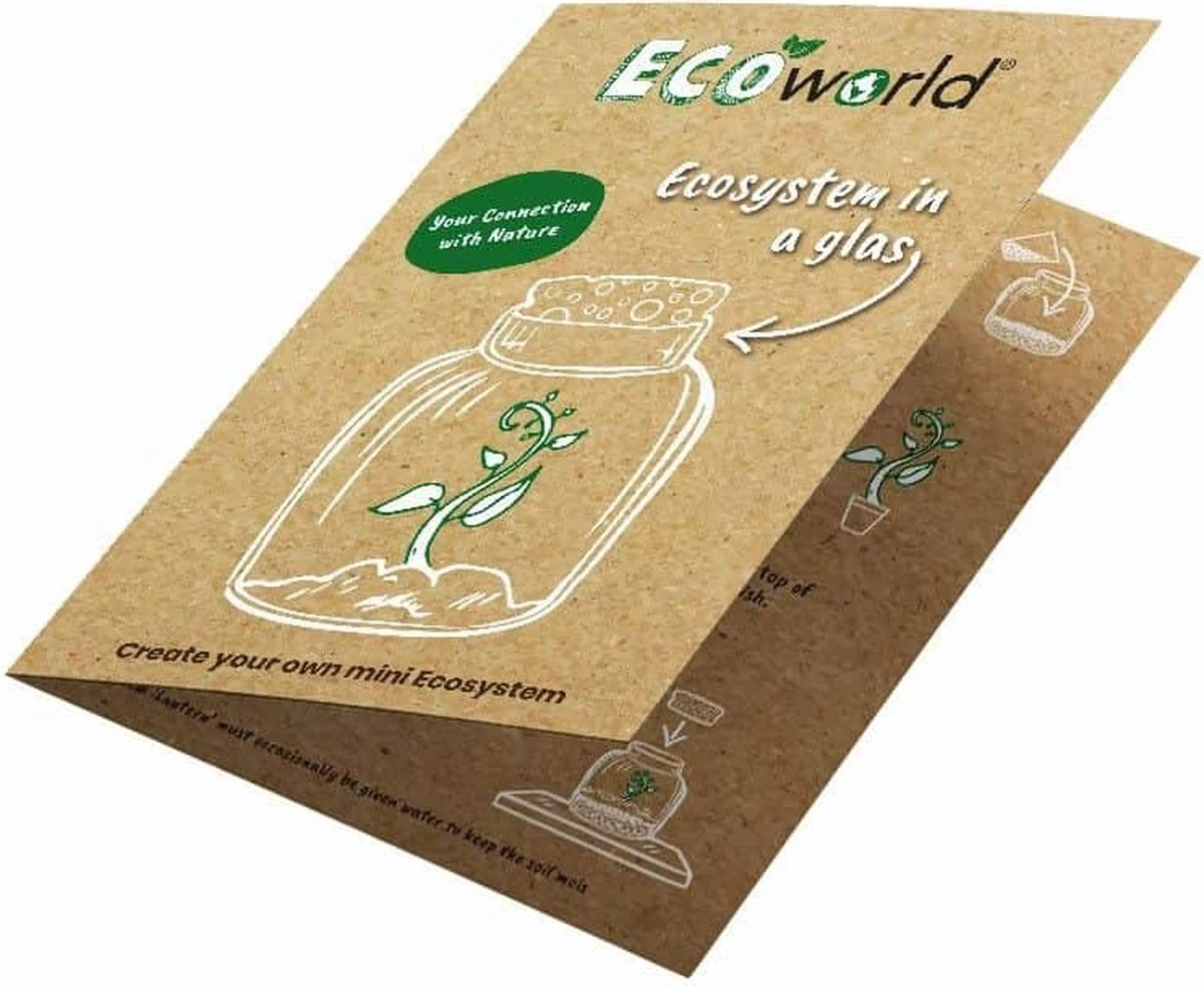 Ecoworld Vleesetende Planten Mix - DIY Ecosysteem Plant Set - 3 Vleesetende Planten - Met Terrarium Plant Venus Vliegenval Zonnedauw En Trompetbekerplant - Inclusief Substraat - Grond - Mos - Afbeelding 4