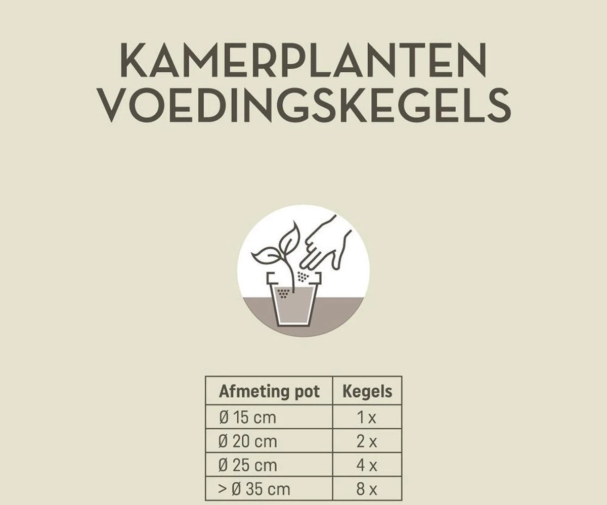 Pokon Kamerplanten Voedingskegels - 10st - Plantenvoeding - 6 Maanden Voeding - Afbeelding 3